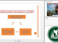 Развивающая предметно-пространственная среда в соответствии с ФГОС ДО: требования, контроль, оценка