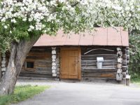 Усадьба матери В. М. Шукшина