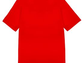 Фуфайка трикотажная для мужчин (футболка)