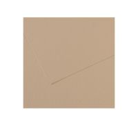 Бумага для пастели Canson "MI-TEINTES" 50x65 см 160 г №343 перламутр