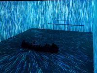 Мультимедийное иммерсивное арт-пространство Lumion