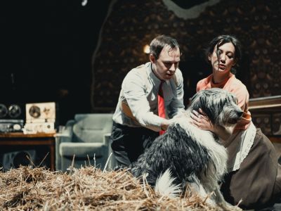 Билеты на Собачье сердце (МТЮЗ) / Театр | Афиша | ИнфоТаймс