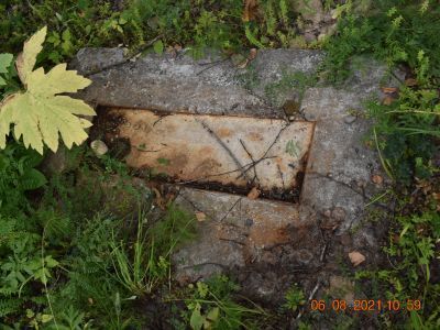 Могила членов семьи художника В.Д.Вучичевича