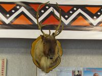 Краеведческий музей Олюторского муниципального района