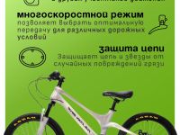 Детский велосипед Falcon Bike Mild 20, год 2024, цвет Серый
