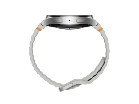 Умные часы Samsung Galaxy Watch7 44 мм Серебристые