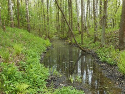 Пруд Змеиный