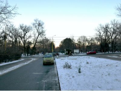 Ботанический сад МГУ им. М.В.Ломоносова на Воробьевых горах