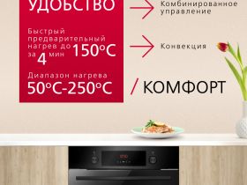 Духовой шкаф Hansa BOES68441