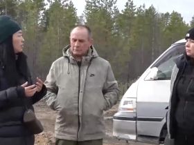 Лесовосстановление АЛРОСА: более 350 тысяч сеянцев сосны высадили в Олекминске в этом году