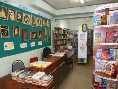 Центральная библиотека с. Александровского