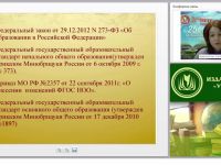 Внеурочная деятельность в условиях ФГОС начального и основного общего образования