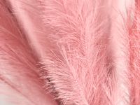 Декоративное украшение Cortaderia, розовое