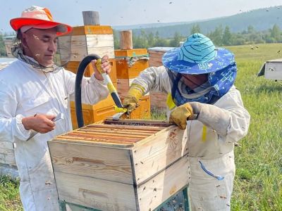 Якутяне развивают бизнес на «дальневосточных гектарах»