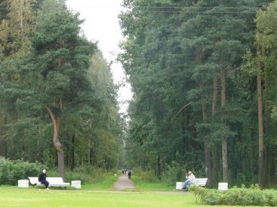 "Сосновая поляна"