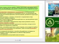 Видеть красоту за порогом собственного дома – величайшее умение, которому нужно учить с раннего детства. Как организовать экологическое образовательное пространство в ДОО?