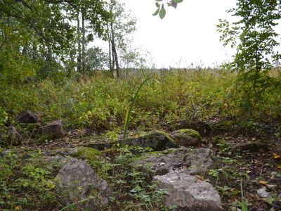 Дом, где в 50-60 гг. XIX в. жил выдающийся русский скульптор Ф.П. Толстой