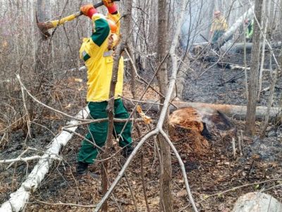 В помощь трем регионам Дальнего Востока привлекли 155 парашютистов и десантников Авиалесоохраны