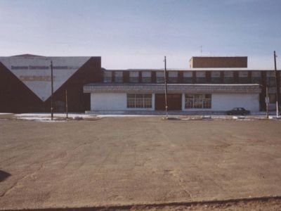 Новобрянская сельская библиотека «Зенит»