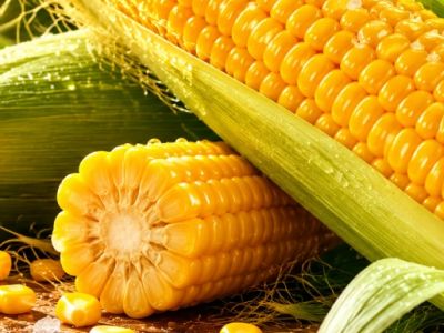 Как правильно готовить молодую кукурузу