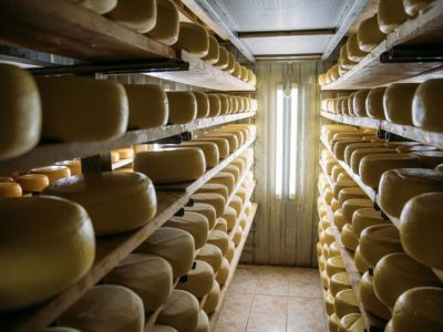 Производство молочной продукции выросло в России