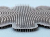 Губка Паниессу/Paniesu I