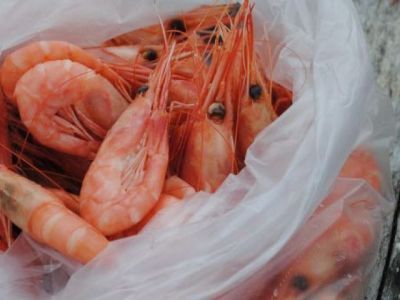 Исследование качества креветок - результаты