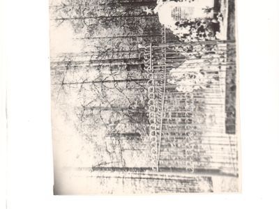 Братская могила 137 воинов Советской Армии и партизан, погибших в боях с немецко-фашистскими захватчиками. Установлен обелиск