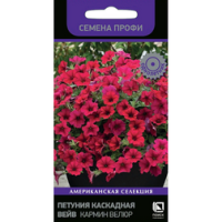 Петуния каскадная Вейв Кармин Велюр (Семена Профи)
