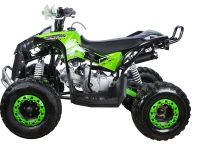 Квадроцикл YACOTA Renegade