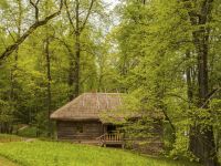 Музей-усадьба «Тригорское»