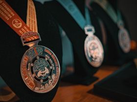 Наградная атрибутика Чемпионата мира по мас-рестлингу – 2022