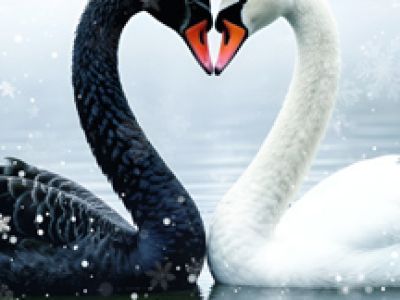 Праздничный концерт. П. И. Чайковский. Концерт №1