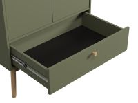 Распашной шкаф Торвалль 2-80x185 Оливковый
