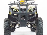 Квадроцикл STALKER 250