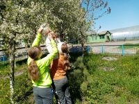 Березовский сельский культурно-досуговый центр