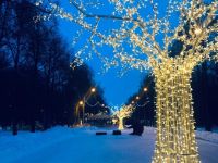 Лесопарк г. Рязани