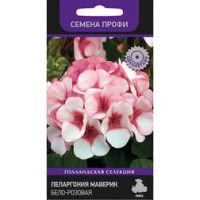 Пеларгония Маверик Бело-розовая (Семена Профи)
