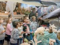 Государственный Дарвиновский музей