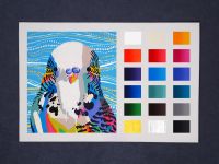 Набор акрила "Decola" 18 цв*20 мл матовый