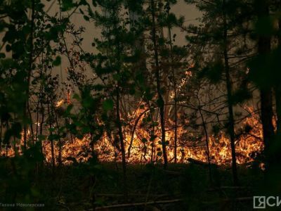 Лесной пожар обнаружен в Верхнеколымском районе Якутии