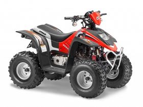 Квадроцикл STELS ATV 50 C