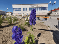 Центр культуры и спорта п. Сорум