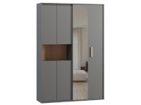 Шкаф-купе Бладвен 3-140x210 Графитовый