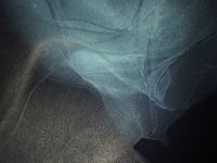 Пластик черный для спиртовых (алкогольных) чернил nuance., 3 листа, Пластик черный для спиртовых (алкогольных) чернил nuance., 3 листа, 50х70 см.