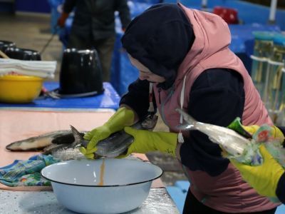 Чир капризнее осетра