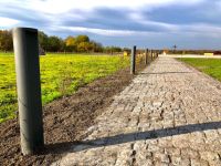 Парк Александра Невского