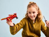 Harry Potter 76448 Конструктор Феникс Дамблдора - Фоукс