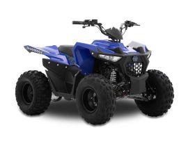 Квадроцикл SHARMAX Cross 200 (2024)