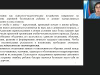 Международный вебинар "Система работы по формированию основ безопасности дорожного движения младших школьников"